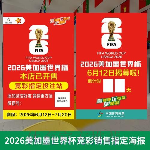 获取世界杯投注最新入口地址指南